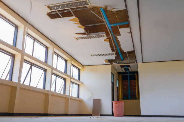 Best Professional water damage repair  in West Richland, WA