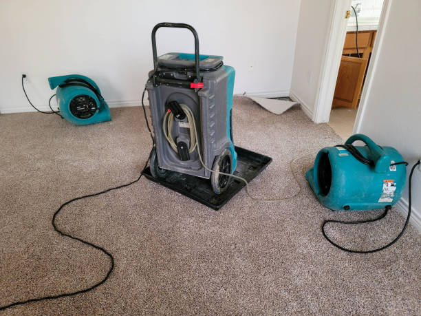 Best Water damage restoration process  in West Richland, WA