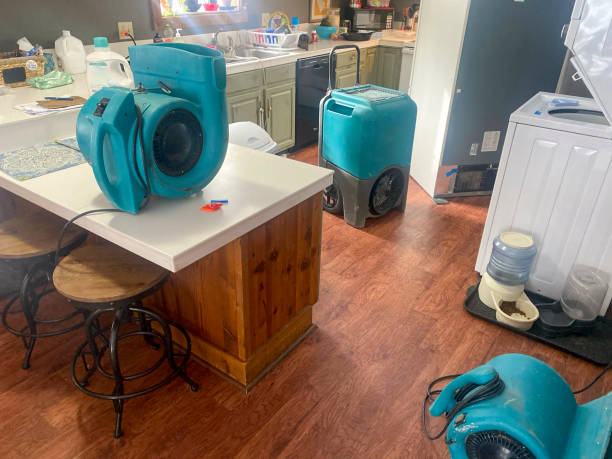 , WA Water damage restoration Company
