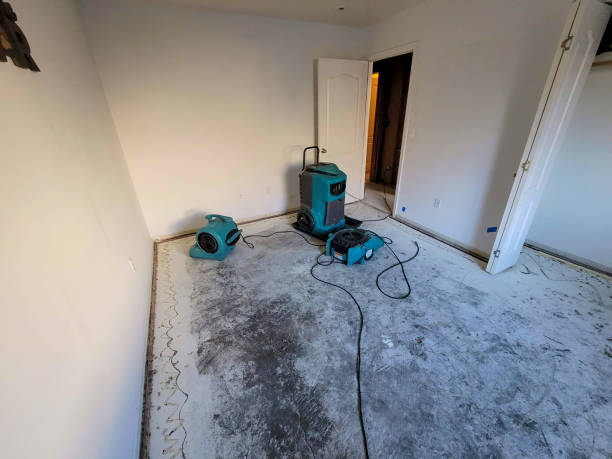 Best Residential water damage restoration  in West Richland, WA