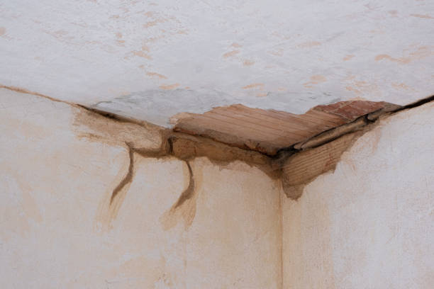 Best Basement water damage restoration  in West Richland, WA