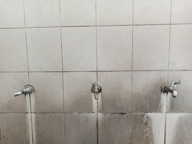 Best 24/7 water damage repair  in West Richland, WA